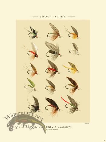 Favorite Flies 16 Trout